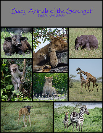 Baby Animals of the Serengeti