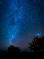 Serengeti Night sky