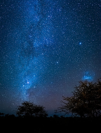 Serengeti Night sky
