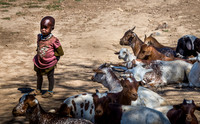 Masai Child and Goats.