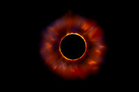 Corona