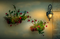 Evening Wall