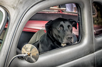 Waiting for Dad